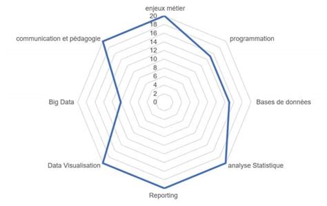 Data Analyst Compétences