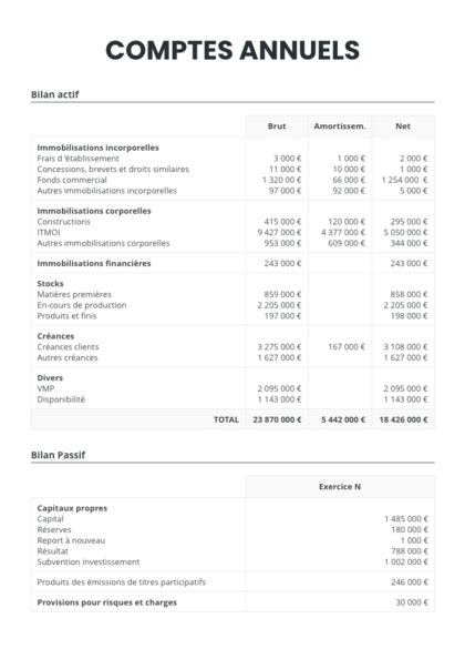 Depot Comptes Annuels