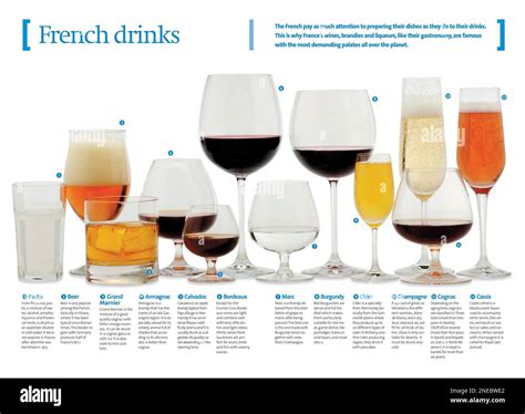 Différents types de boissons