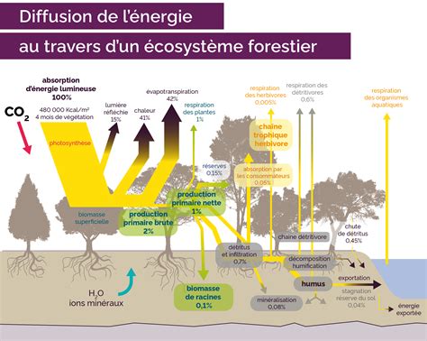 Ecosystème CFC