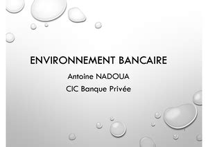 Environnement Bancaire