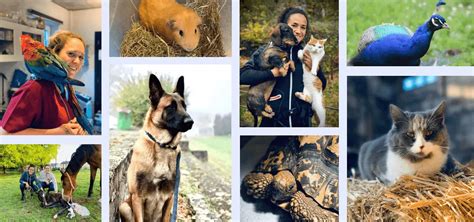 Equipe soignant des animaux