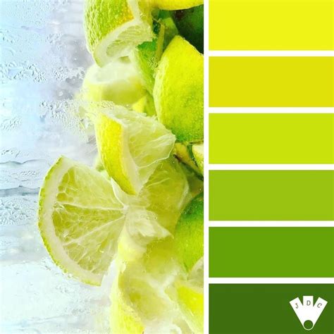 Evolution de Citron Vert