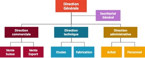 Exemple d'Organigramme Hiérarchique