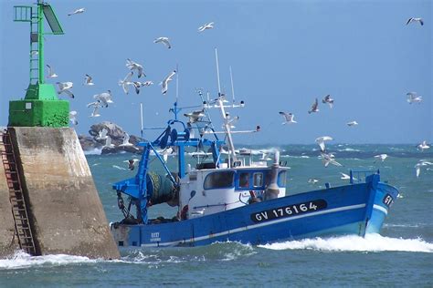 Expert maritime inspectant un bateau de pêche