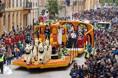 Fête des Vendanges à Argenteuil