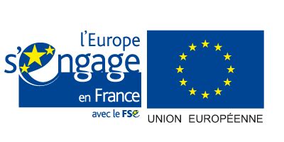 FSE+ France