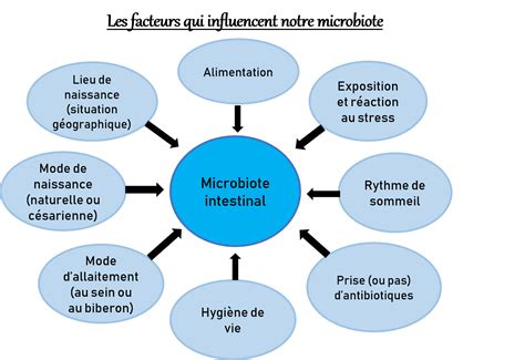 Facteurs influençant le TJM