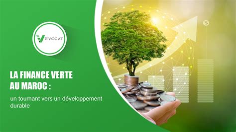 Finance verte et développement durable
