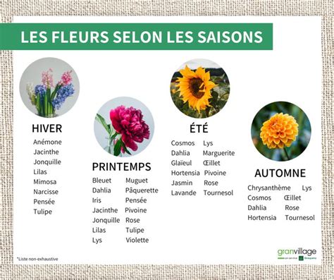 Fleurs de saison