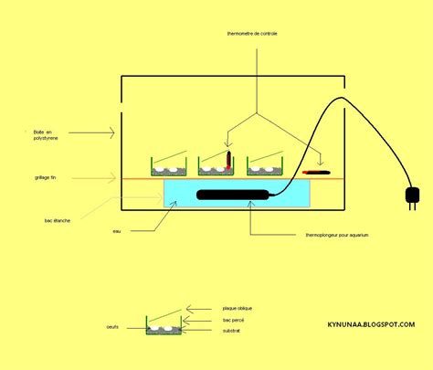 Fonctionnement d'un incubateur