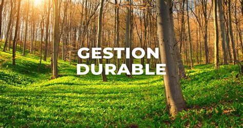 Forêt et gestion durable