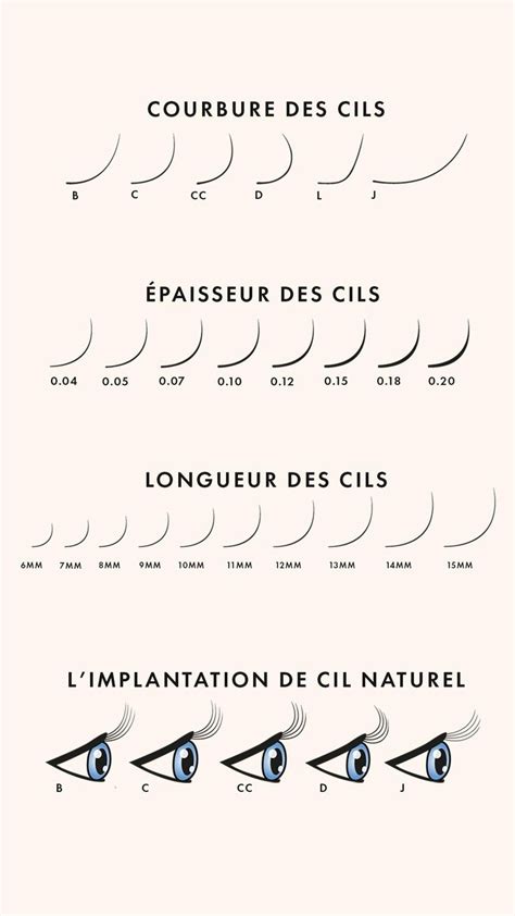 Formation Extension de Cils