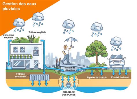 Gestion des eaux pluviales