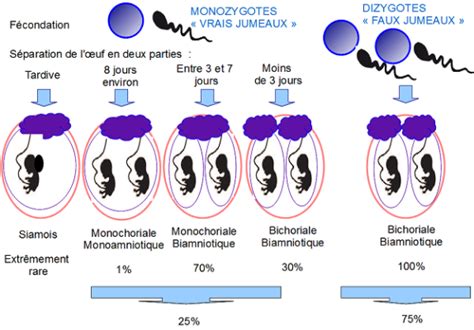 Grossesse gémellaire et aides financières
