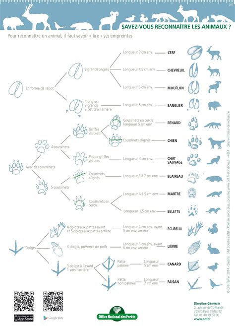 Identification des animaux