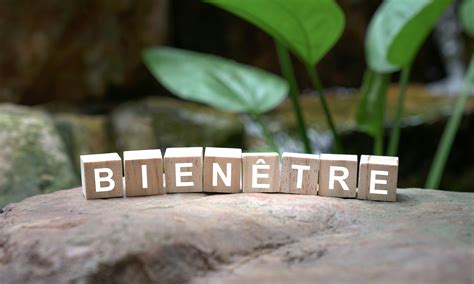 Influence du revenu sur le bien-être