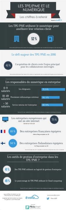 Infographie TPE PME