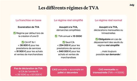 Infographie TVA Auto-entrepreneur