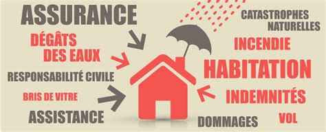 Infographie assurance habitation