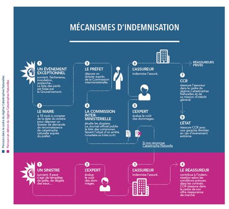 Infographie catastrophe naturelle indemnisation assurance habitation