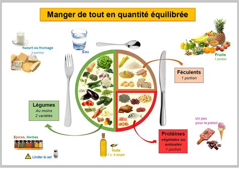 Infographie d'un repas équilibré à la cantine