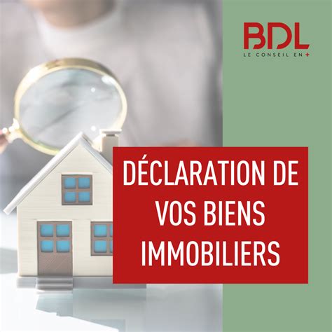 Infographie déclaration biens immobiliers