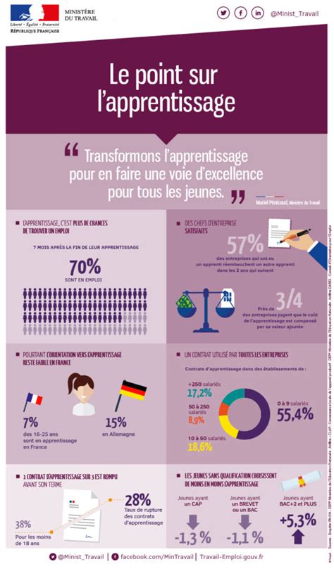Infographie de l'apprentissage en France