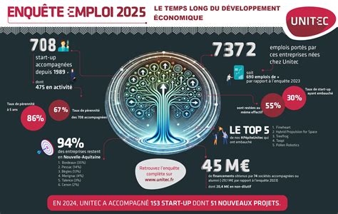 Infographie de l'enquête emploi