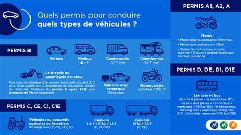 Infographie du permis de conduire