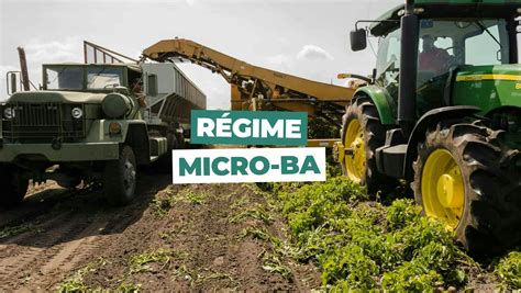 Infographie du régime Micro-BA
