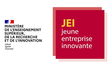 Infographie du statut JEI