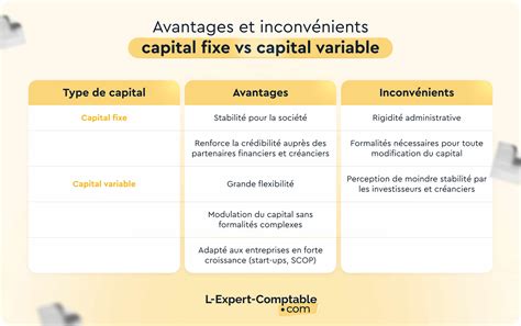 Infographie expliquant le capital social variable ou fixe