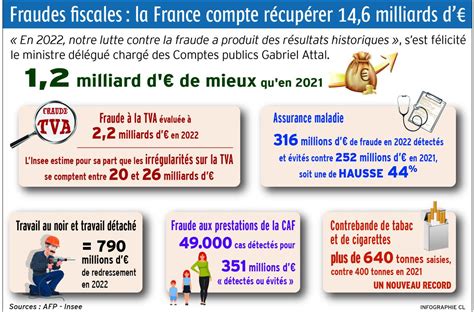Infographie fraude fiscale