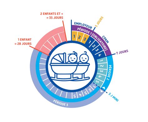 Infographie sur les congés maternité et paternité