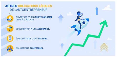 Infographie sur les obligations de l'auto-entrepreneur