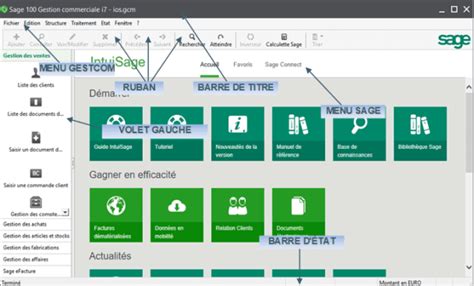 Interface Sage 100 i7