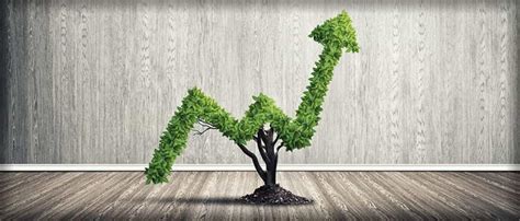 Investissement Durable