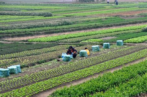 Investissements agricoles