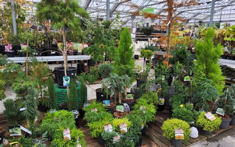 Jardinerie Stérin - Conseils personnalisés