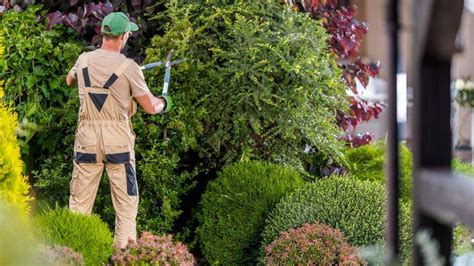 Jardiniers paysagistes au travail