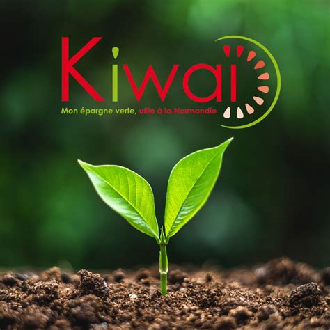 Kiwaï : Transition Écologique