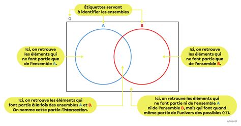 Le diagramme de Venn montrant les chevauchements entre les qualités d'un leader et d'un manager.