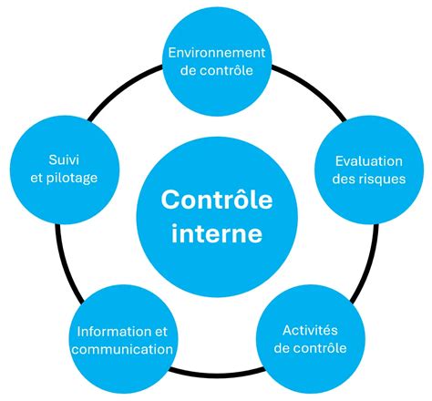 Les 5 pilotes du contrôle interne