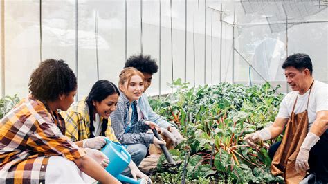 Les jeunes et l'entrepreneuriat