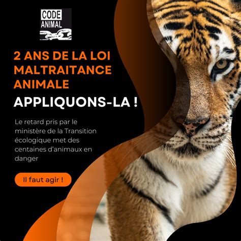 Loi contre la maltraitance animale