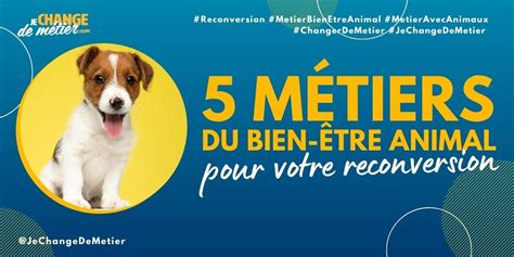 Métiers du Bien-Être Animal