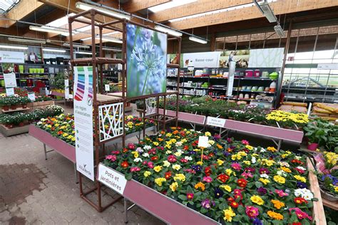 Magasin de fleurs et plantes