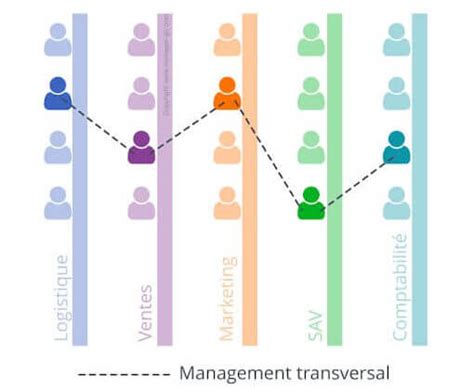 Management Transversal