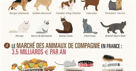 Marché des animaux de compagnie